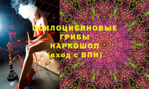 дмт Аркадак