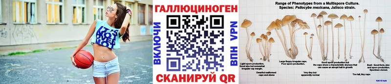 Псилоцибиновые грибы Cubensis  Купить закладки  Вольск 